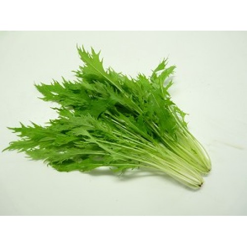 日本水菜